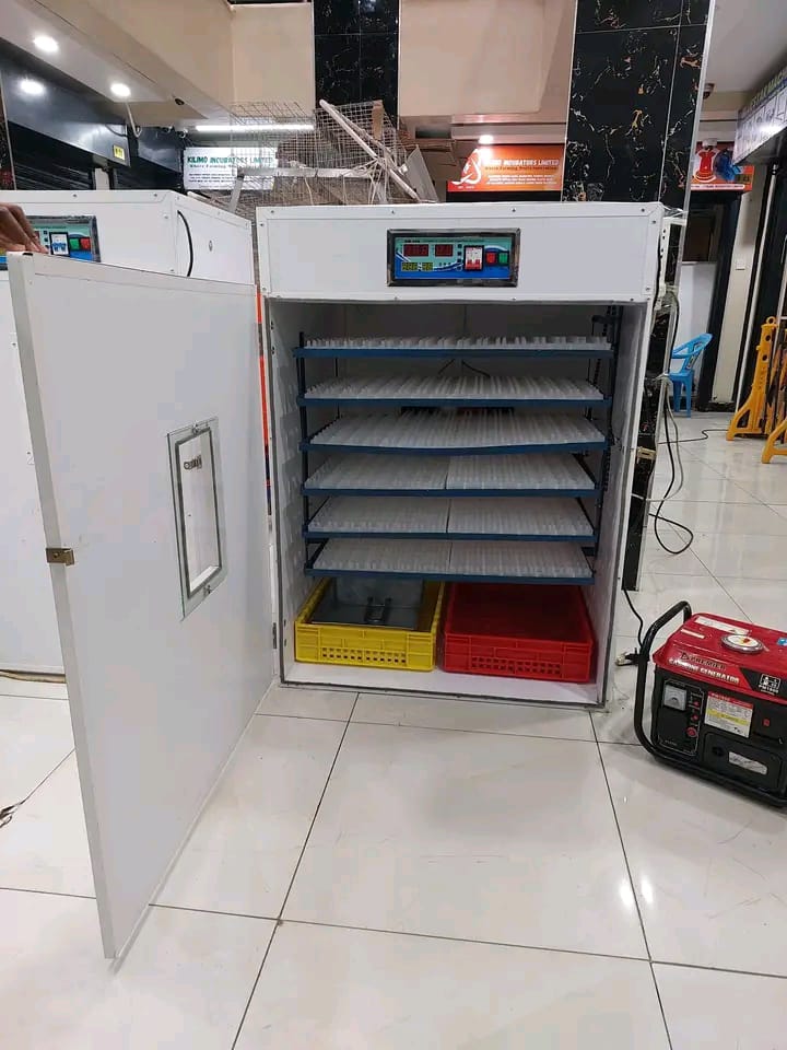 FREE GENERATOR INCLUDED 1056 Eggs Automatic