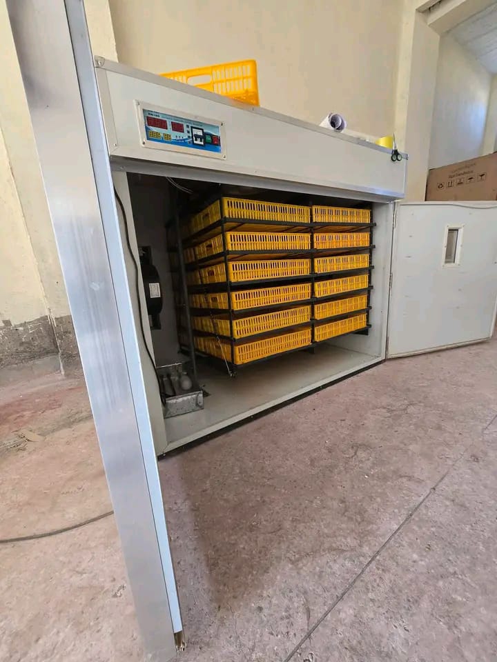 FREE GENERATOR INCLUDED 2112 Eggs Automatic