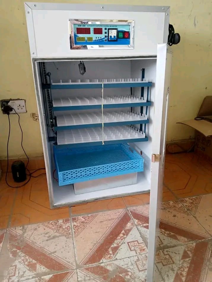 FREE GENERATOR INCLUDED 528 Eggs Automatic