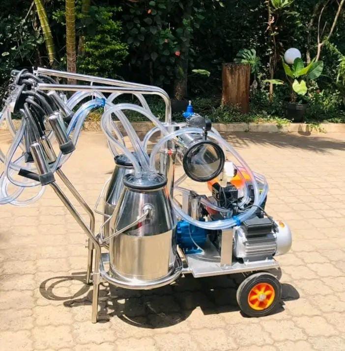 Duo Milking Machine - Electric + Petrol, Two Cows