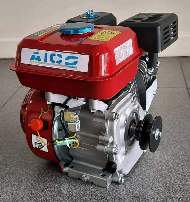 6.5HP Petrol Engine
